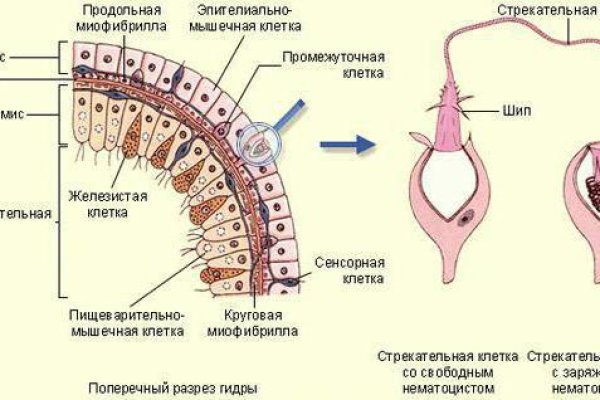 Kra20.at