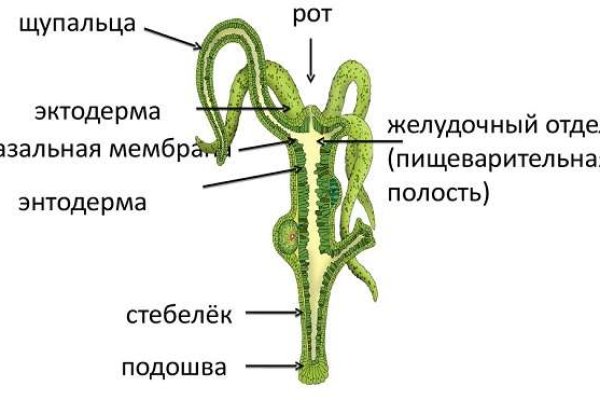 Кракен ссылка зеркало