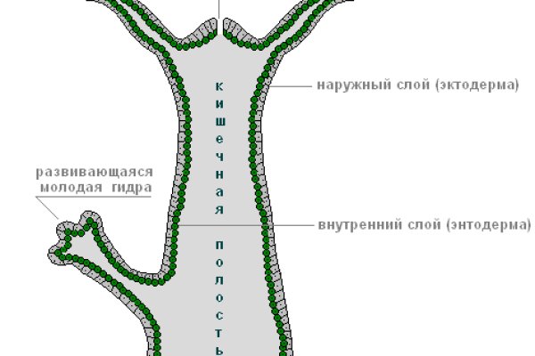 Как восстановить кракен